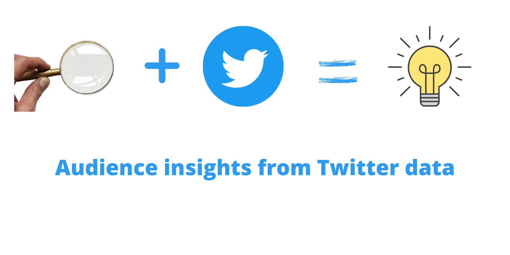 Audience Insights from Twitter data